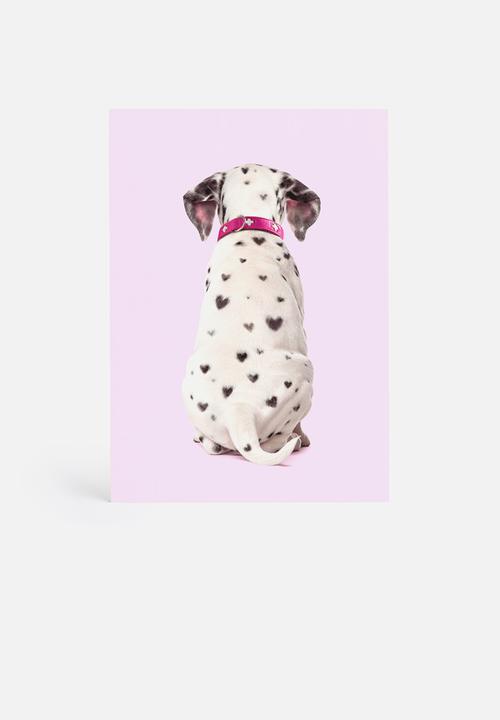 Paul Fuentes - Dalmatian hearts