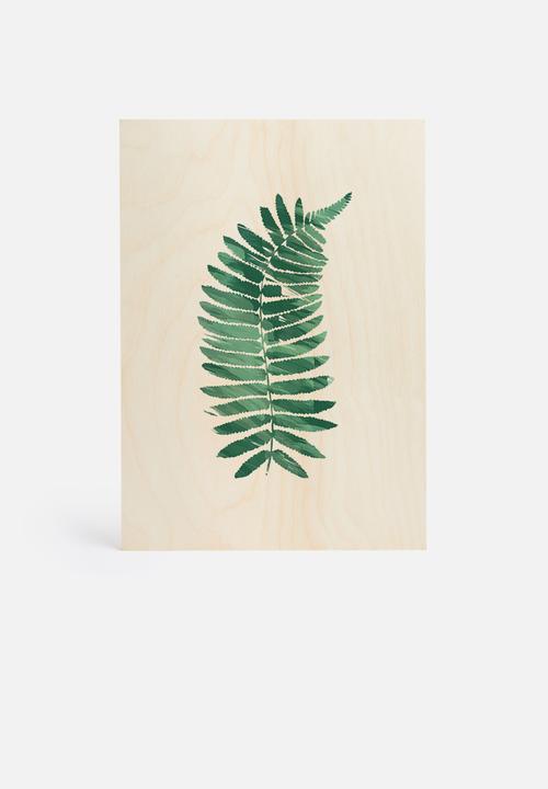 The Glass Mountain - Fern