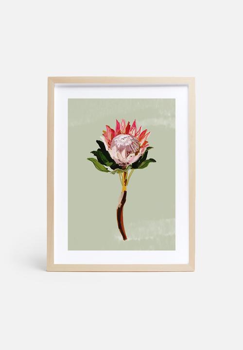 Sarah Allderman - Protea 1