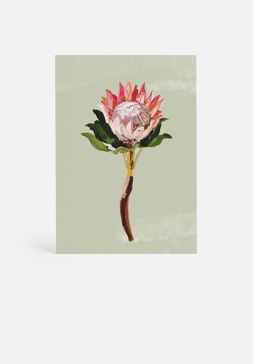 Sarah Allderman - Protea 1
