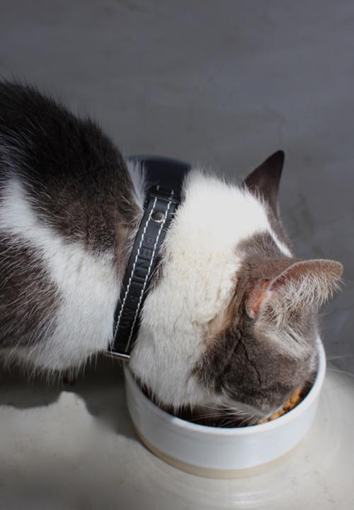Benji & Moon - Leather cat collar - natural/black