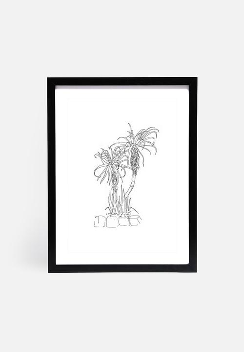 Jo & Elizabeth - Twin aloes