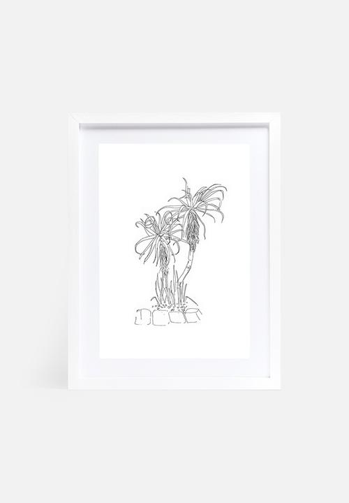 Jo & Elizabeth - Twin aloes