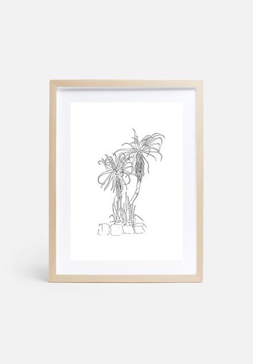 Jo & Elizabeth - Twin aloes