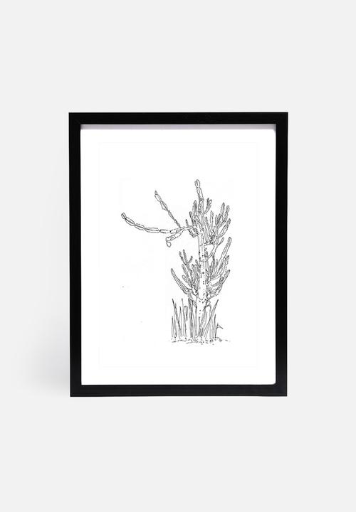Jo & Elizabeth - The cactus