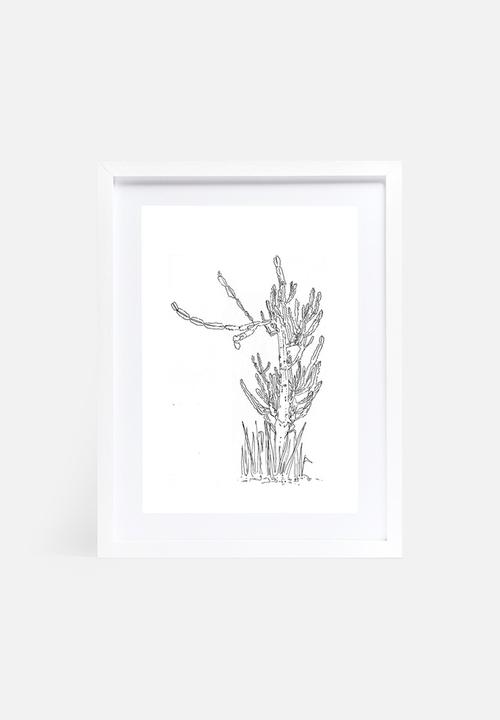Jo & Elizabeth - The cactus