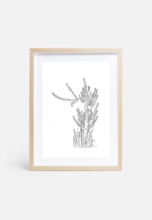 Jo & Elizabeth - The cactus