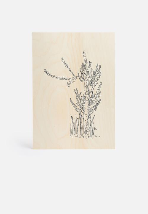 Jo & Elizabeth - The cactus