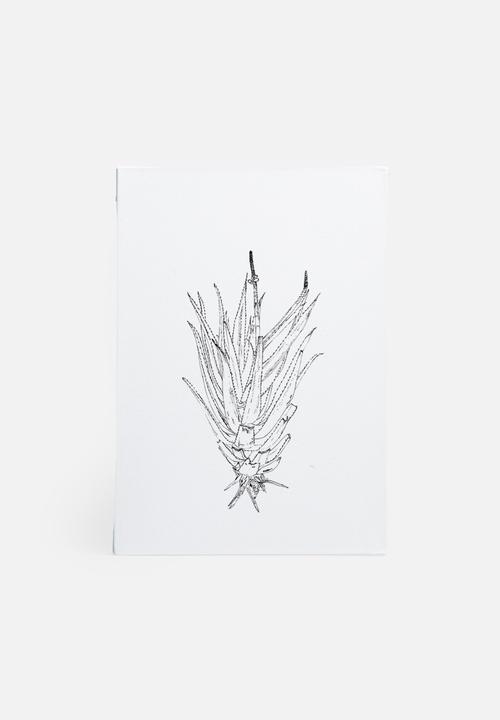 Jo & Elizabeth - Flowering aloe