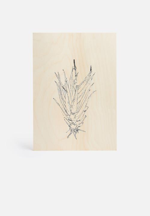 Jo & Elizabeth - Flowering aloe