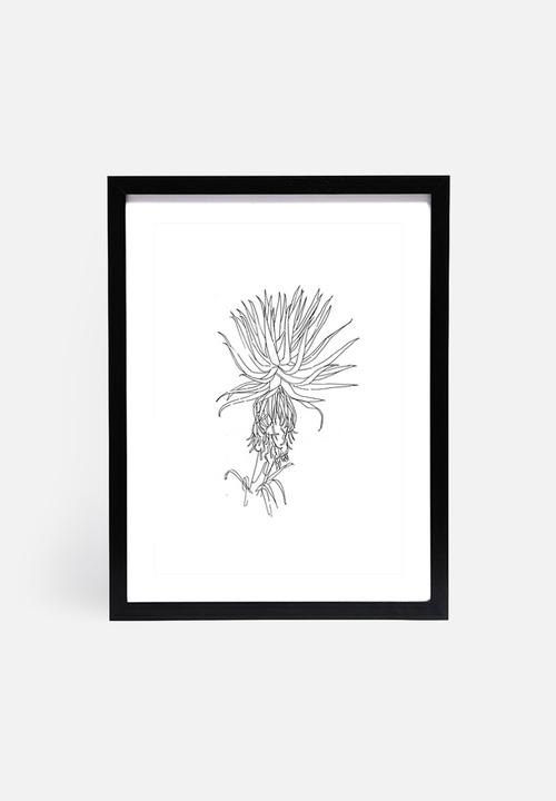 Jo & Elizabeth - Aloe vera