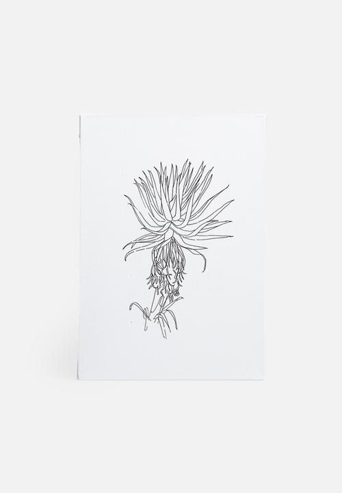 Jo & Elizabeth - Aloe vera