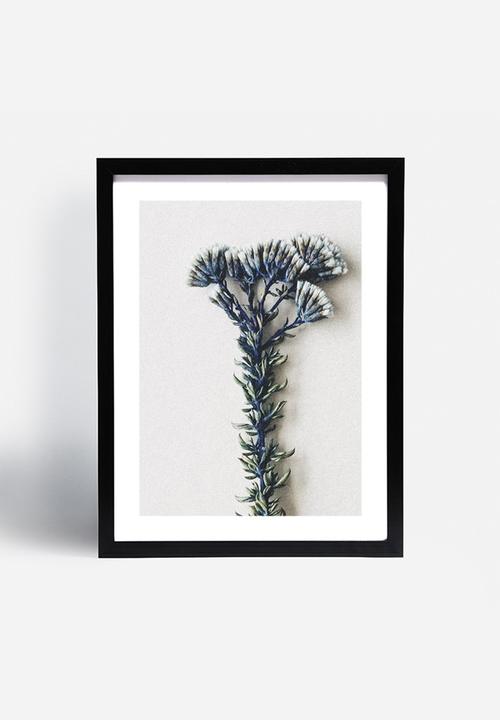 Sixth Floor - Fynbos 3