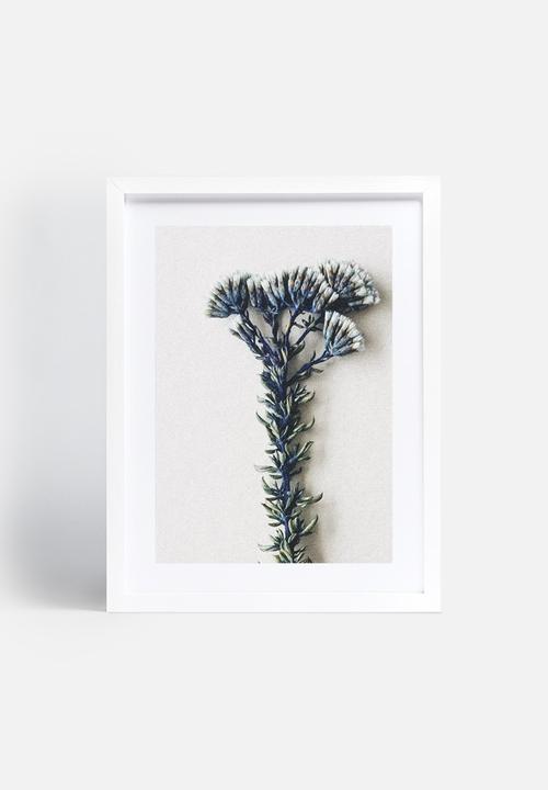 Sixth Floor - Fynbos 3
