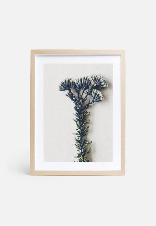 Sixth Floor - Fynbos 3