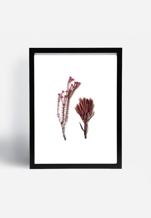 Sixth Floor - Fynbos 1
