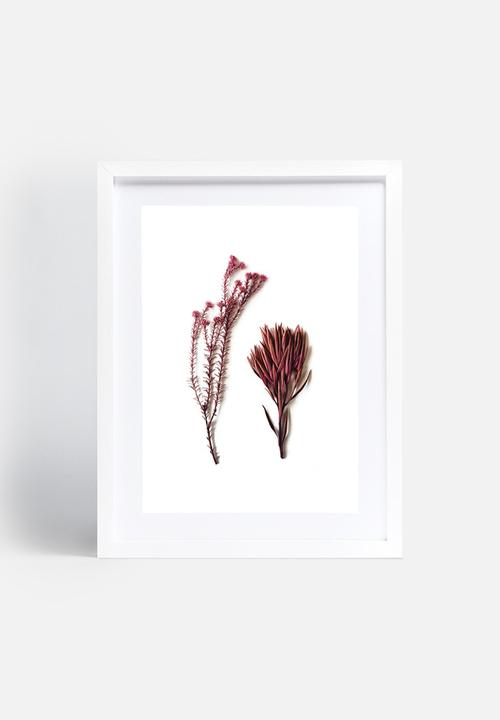 Sixth Floor - Fynbos 1
