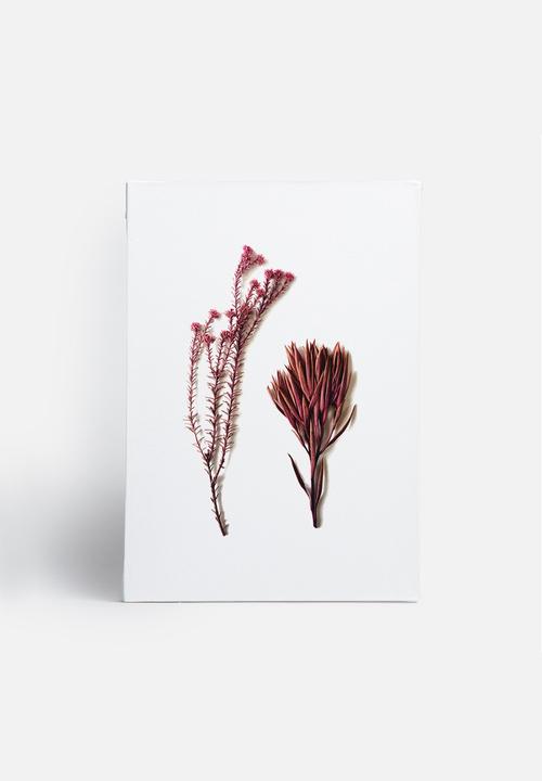 Sixth Floor - Fynbos 1