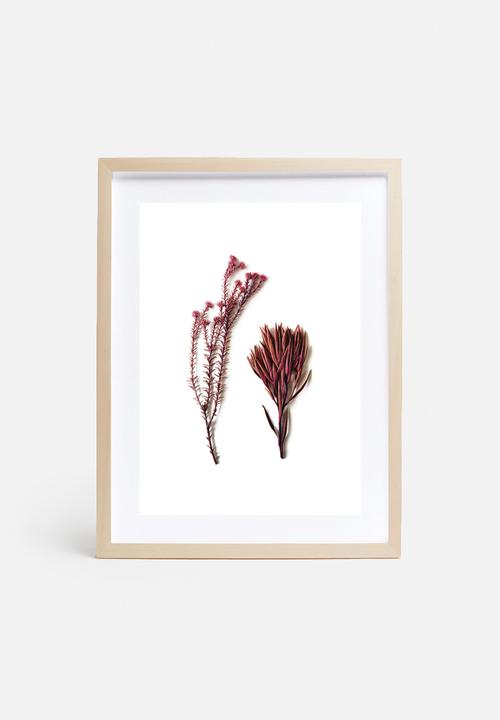 Sixth Floor - Fynbos 1