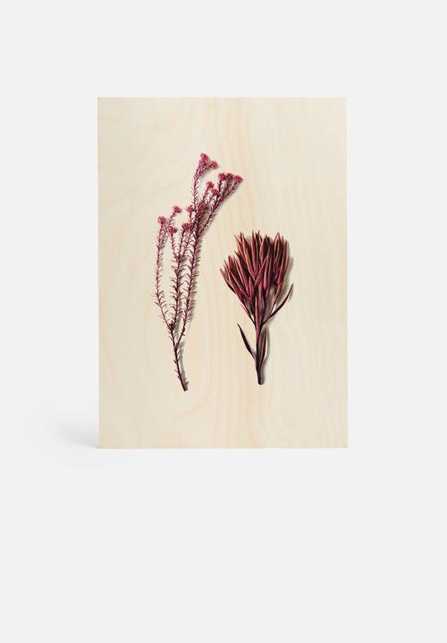Sixth Floor - Fynbos 1