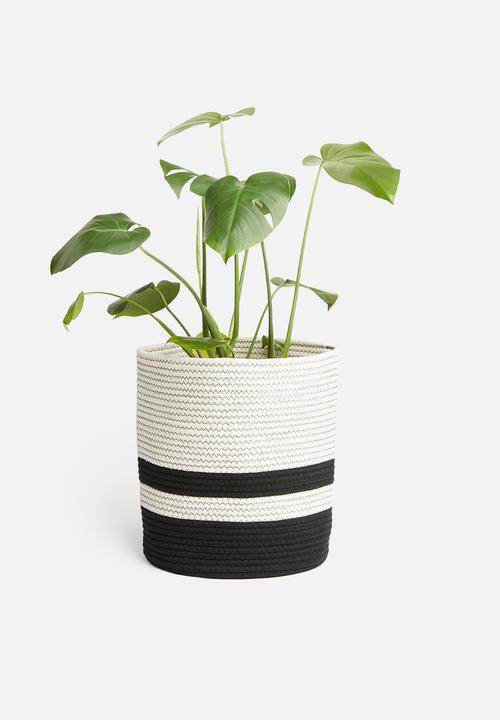 Sixth Floor - Two-toned cotton rope basket - black