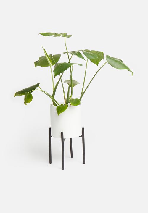 Sixth Floor - Table planter - white & black