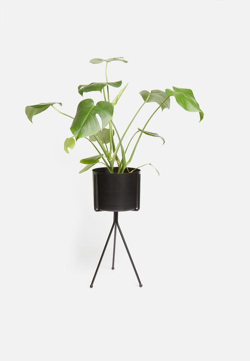 Sixth Floor - Bahati planter - black