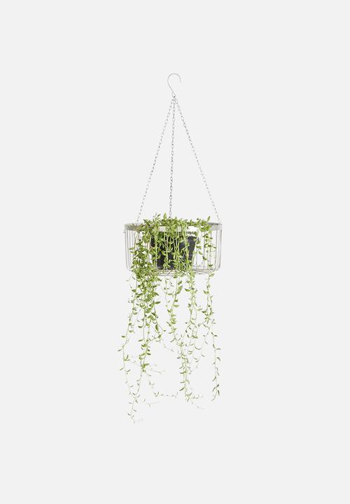 Sixth Floor - Hanging planter set - silver