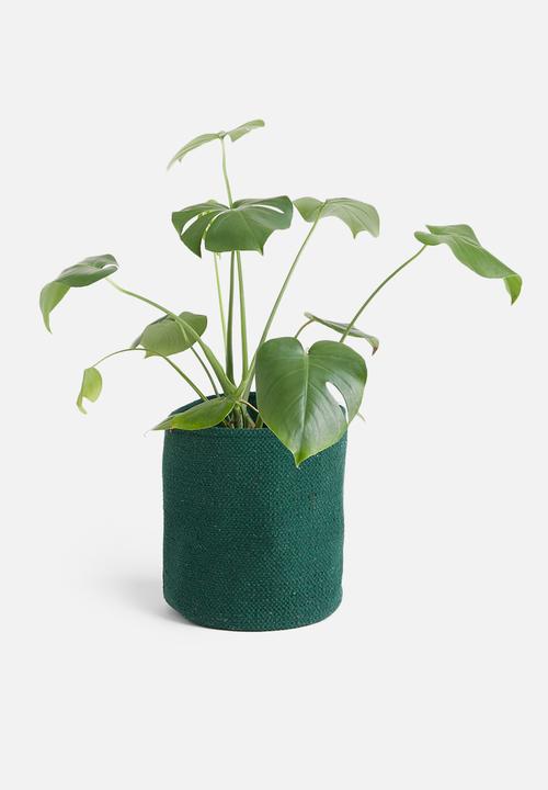 Sixth Floor - Sona cotton basket - forest green