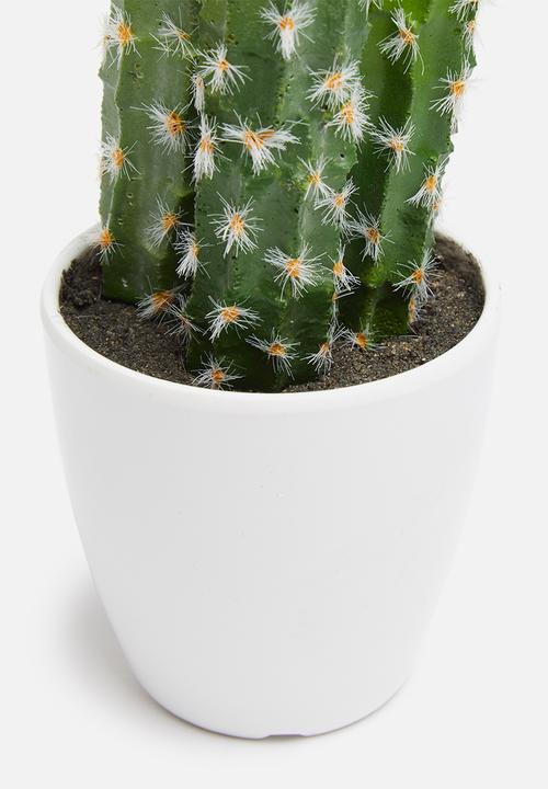 H&S - Saguaro mini potted cactus