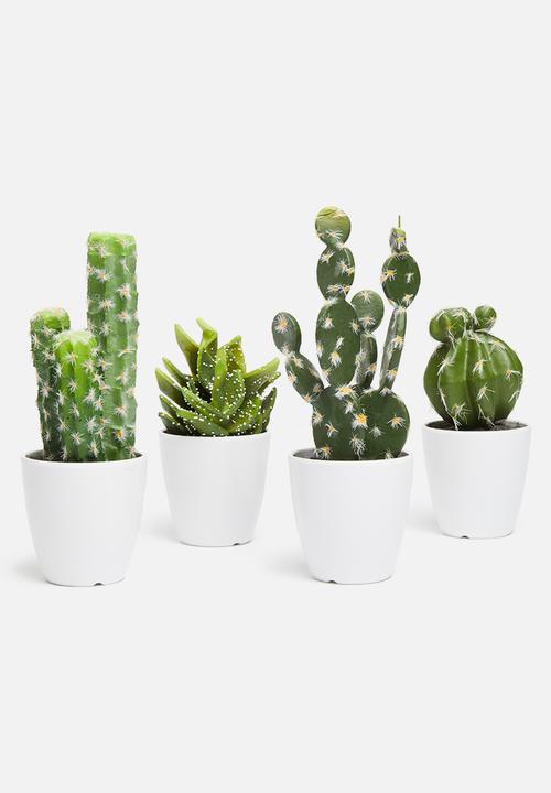 H&S - Saguaro mini potted cactus