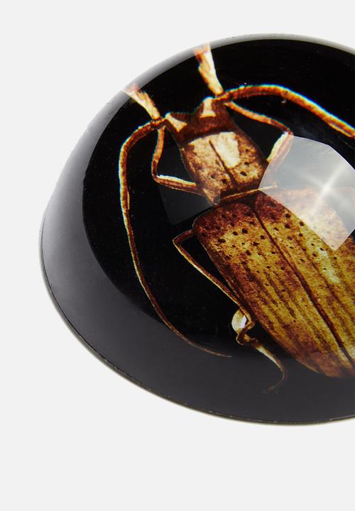 H&S - Insect paper weight - brown