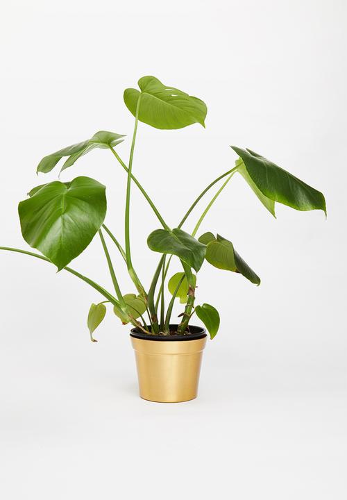 H&S - Aluminium planter - gold