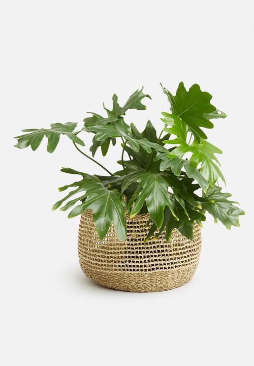 H&S - Layla large basket - natural