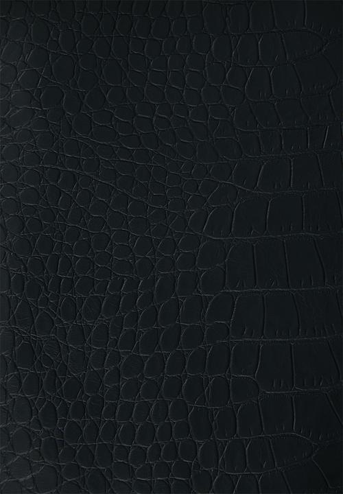 Blake -  Pu mini skirt with zip detail-black