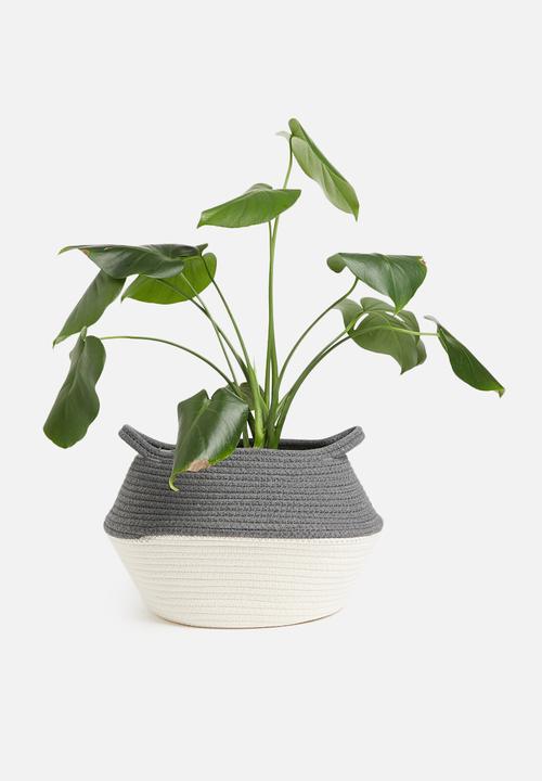 Sixth Floor - Cotton rope belly basket - grey & white