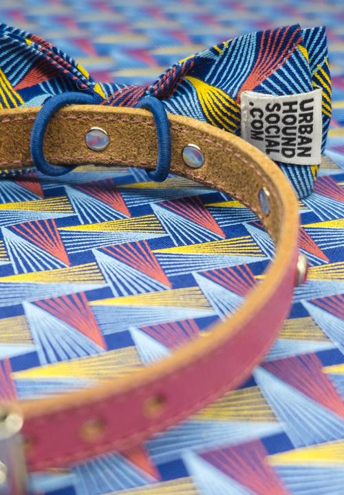 Urban Hound Social - Bow-wow-tie - blue
