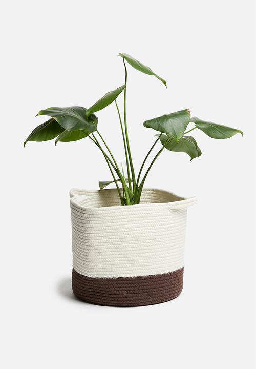 Sixth Floor - Cotton rope basket - white & rust brown 