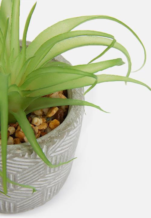 Silk By Design - Single succulent plant - grey