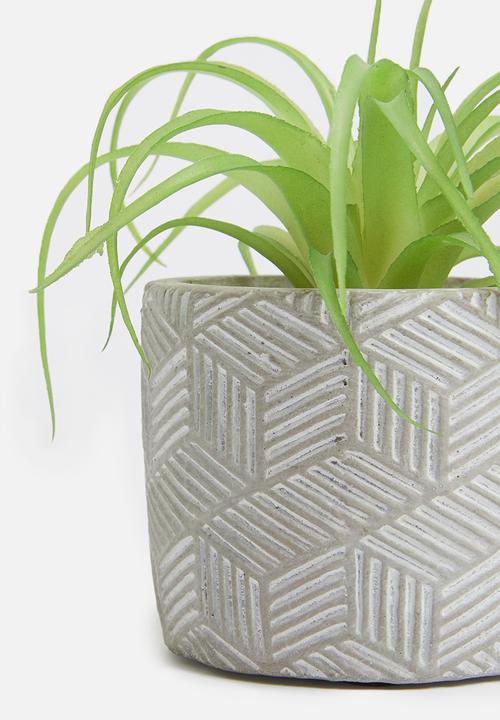 Silk By Design - Single succulent plant - grey