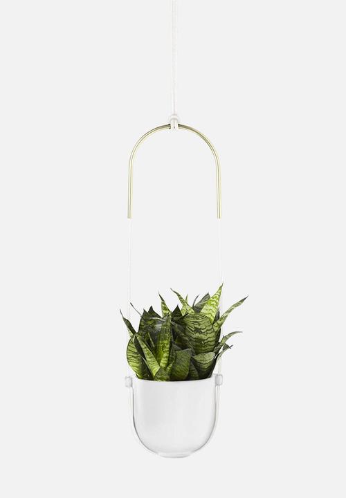 Umbra - Bolo planter - white