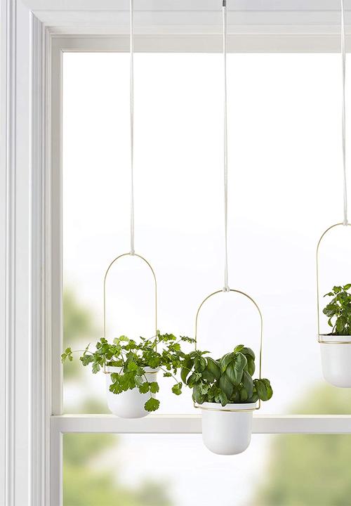 Umbra - Triflora hanging planter - white & brass