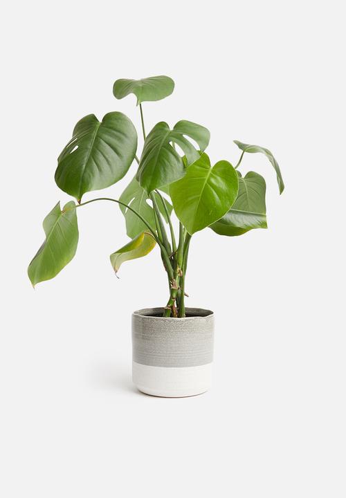 H&S - Sandy planter - grey & white
