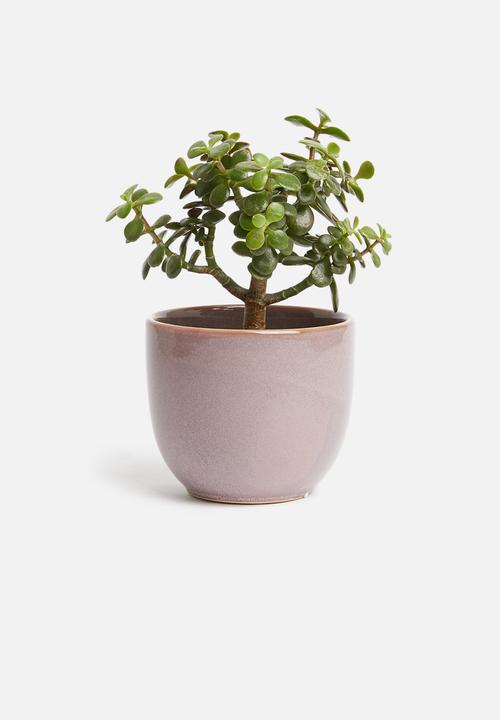 H&S - Reactive glaze flower pot - purple