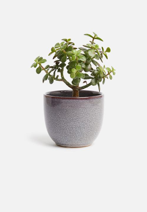 H&S - Reactive glaze flower pot - charcoal