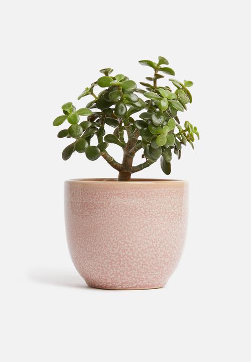 H&S - Reactive glaze flower pot - blush
