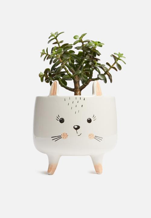 H&S - Bunny planter - white