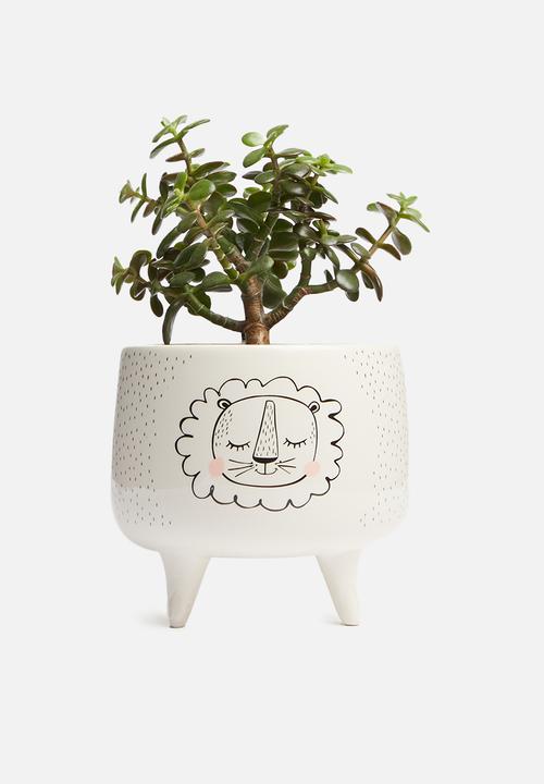 H&S - Sheep planter - white