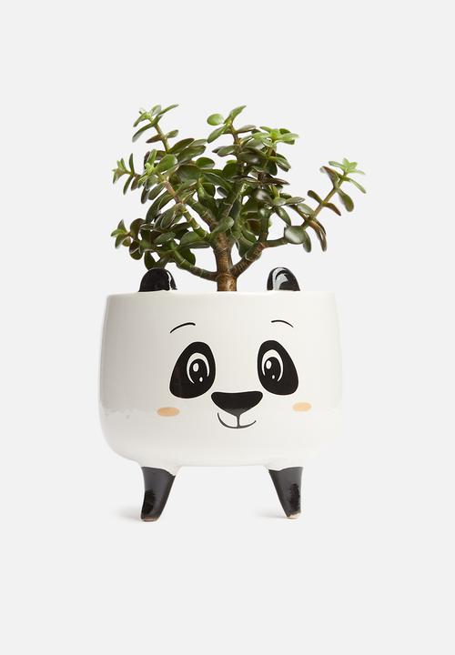 H&S - Panda planter - white