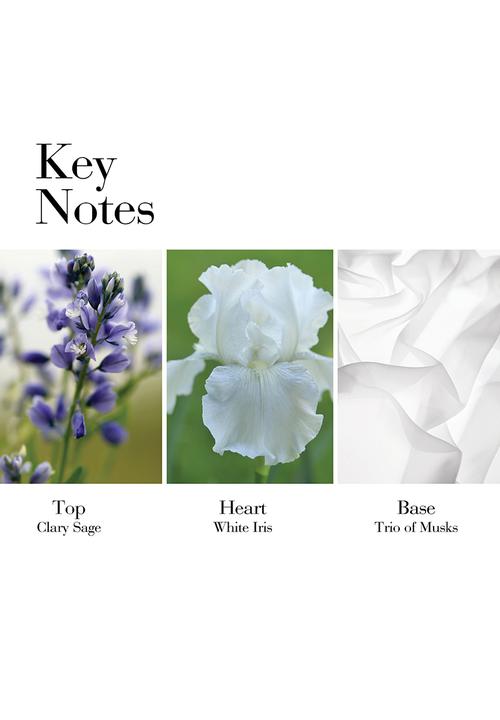 Elizabeth Arden - White Tea EDT 100ml + 15ml Set